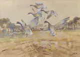 Geese alighting over fields by Jack Cox, watercolour and pastel, sold Jul 2026