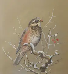 Perched Redwing by Philip Rickman, watercolour and gouache, sold Jul 2026