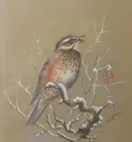 Perched Redwing by Philip Rickman, watercolour and gouache, sold Jul 2026