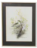 Willow Warbler by Christopher Scales, 1981, gouache and watercolour, sold Jun 2026