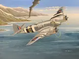 Bristol Beaufighter RAF by Mike Bailey, acrylic, sold May 2026