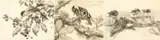 Untitled by Winifred Austen, pencil, sold Aug 2026