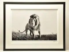 Hunter by Anup Shah, print, sold Oct 2024