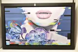 Think of the flowers, they don by Kris Hardy, mixed media on canvas, sold Aug 2024