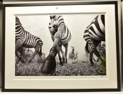 Onward by Anup Shah, print, sold Jun 2024