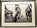 Onward by Anup Shah, print, sold Jun 2024