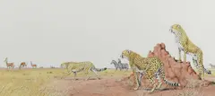 Cheetahs in the savanna by Peter Barrett, watercolour, offered Jun 2024