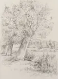 Willows on the Avon Signed and dated Howard Phipps 1991 by Howard Phipps, Pencil, sold Jun 2024