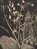 Orchids Signed and inscribed Orchids 1920 by John Nash, Wood engraving, sold Jun 2024