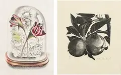 Red Moss Rose by John Farleigh, lithograph, sold Jun 2024