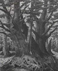 Old Trees Signed by Monica Poole, Wood engraving, sold Jun 2024