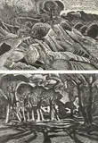Cliff Subsidence by James Bostock, pencil, sold Jun 2024