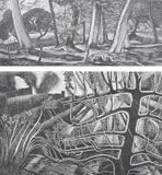 Black Park 1 by James Bostock, pencil, sold Jun 2024