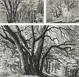 Through the Woods by Sue Scullard, Wood Three, each signed Sue Scullard , inscribed with title and numbered, sold Jun 2024