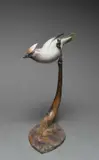 Waxwing Signed and numbered R Squires 2/12 by Roger Squires, Bronze, sold Jun 2024