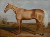 Portrait of the racehorse Silvertail by James Russell Ryott, Oil on canvas, offered Mar 2024