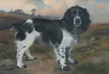 Portrait of a spaniel standing in a landscape Signed H Percy Heard by Hugh Percy Heard, Oil on canvas, sold Mar 2024