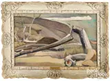 titled El Mision Canyon by Everett Gee Jackson, oil on canvas, sold May 2025