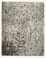Forest of gum trees by Fred Williams, 1965 – 66, etching on paper, sold Sep 2026
