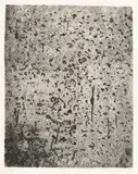 Forest of gum trees by Fred Williams, 1965 – 66, etching on paper, sold Sep 2026