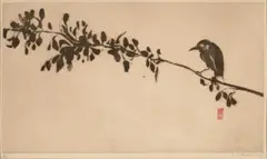 Bird on a branch by Brett Whiteley, 1977, sugarlift aquatint on paper, sold Sep 2026