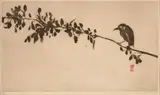 Bird on a branch by Brett Whiteley, 1977, sugarlift aquatint on paper, sold Sep 2026