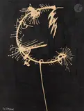 Musique et lumière by Vladimir Nikolaevitch Nemukhin, Monotype, sold Dec 2025