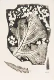 Grande feuille et feuilles de fougère. Herbier. 1962 by Dmitry Petrovitch Plavinsky, Monotype, sold Dec 2025