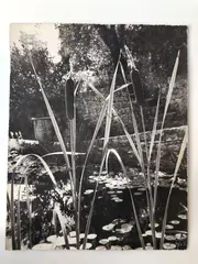 Roseaux, c. 1947 by Laure Albin Guillot, Épreuve Fresson d'époque, sold Oct 2025