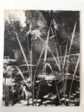 Roseaux, c. 1947 by Laure Albin Guillot, Épreuve Fresson d'époque, sold Oct 2025
