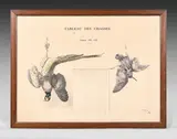 Tableau des chasses by Henri de Linarès, Lithographie, sold Nov 2024
