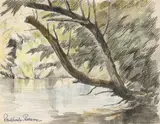 ARBRE EN BORDURE D’EAU by Paul-Émile Pissarro, Aquarelle et mine de plomb sur papier, sold Nov 2023