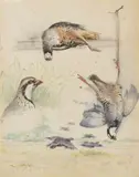 Etude de perdrix by Édouard Paul Mérite, Aquarelle signée en bas à gauche, sold Oct 2022