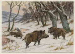 Georges Frederic ROTÏG (1873-1961) Compagnie de sangliers dans la neige by Georges Rötig, Gouache signée en bas à droite, sold Oct 2022