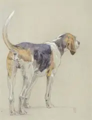 Chien de meute, portant un « L » sur le flanc by Édouard Doigneau, Aquarelle, mine de plomb et pastel signée en bas à droite, sold Oct 2022