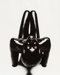 Femme noire by Thierry Le Gouès, Photographie signée, sold Mar 2024