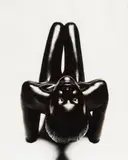 Femme noire by Thierry Le Gouès, Photographie signée, sold Mar 2024