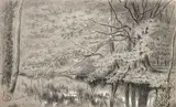 Reflets dans la clairière by Paul Huet, Crayon noir et rehauts de craie blanche sur papier bistre, sold Feb 2023
