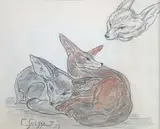 Fennecs by Gaston Suisse, 1925, Crayon et pastel sur papier signé et daté en bas à gauche, sold Oct 2022