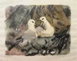 Mouettes by Robert Hainard, Lithographie, sold Jun 2026
