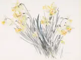 Daffodils by Molly Joan Lamb Bobak, watercolour on paper, sold Feb 2025