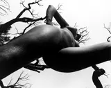 Aus der Serie „Nu de la Forêt by Lucien Clergue, Um 1970, Früher Silbergelatineabzug, sold Nov 2017
