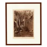 Art as Old at the Tree - Southern Yokuts by Edward S. Curtis, Photogravure, sold Jun 2026