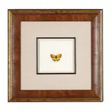 Yellow Butterfly by Bob Timberlake, Watercolor on paper, sold May 2026