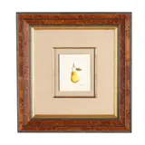 Pear Study by Bob Timberlake, Watercolor on paper, sold May 2026