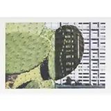 Cactus Score by Anri Sala, 2011, Lithographie sur papier vélin BFK Rives, sold Apr 2015