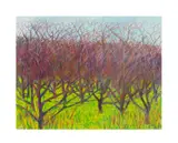 Untitled - Forest Landscape by Peter Watts, crayon and mixed media on paper, sold Mar 2025