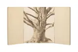 Beach Tree of Light" Triptych - 2001 by Anders Knutsson, oil on canvas, sold Jun 2025