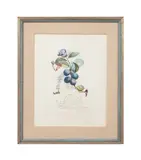 Prunier Hatif" (Hasty Plum) - circa 1969 by Salvador Dalí, lithograph, sold Jun 2025