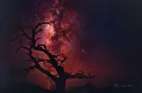 Untitled by Peter Lik, chromogenic print, sold Jun 2023